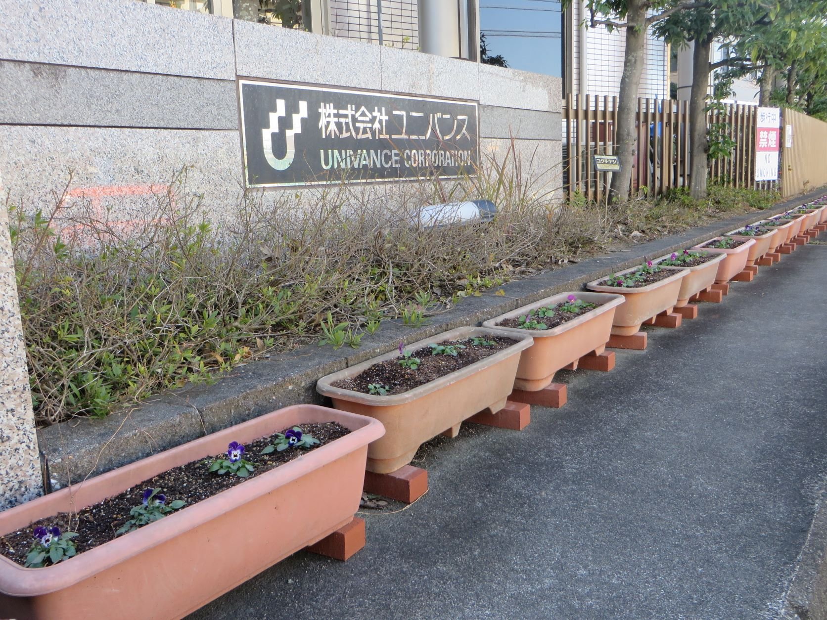 花_正門前202301