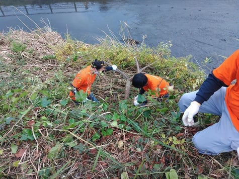 1-20251101_ komigawakireisakusen