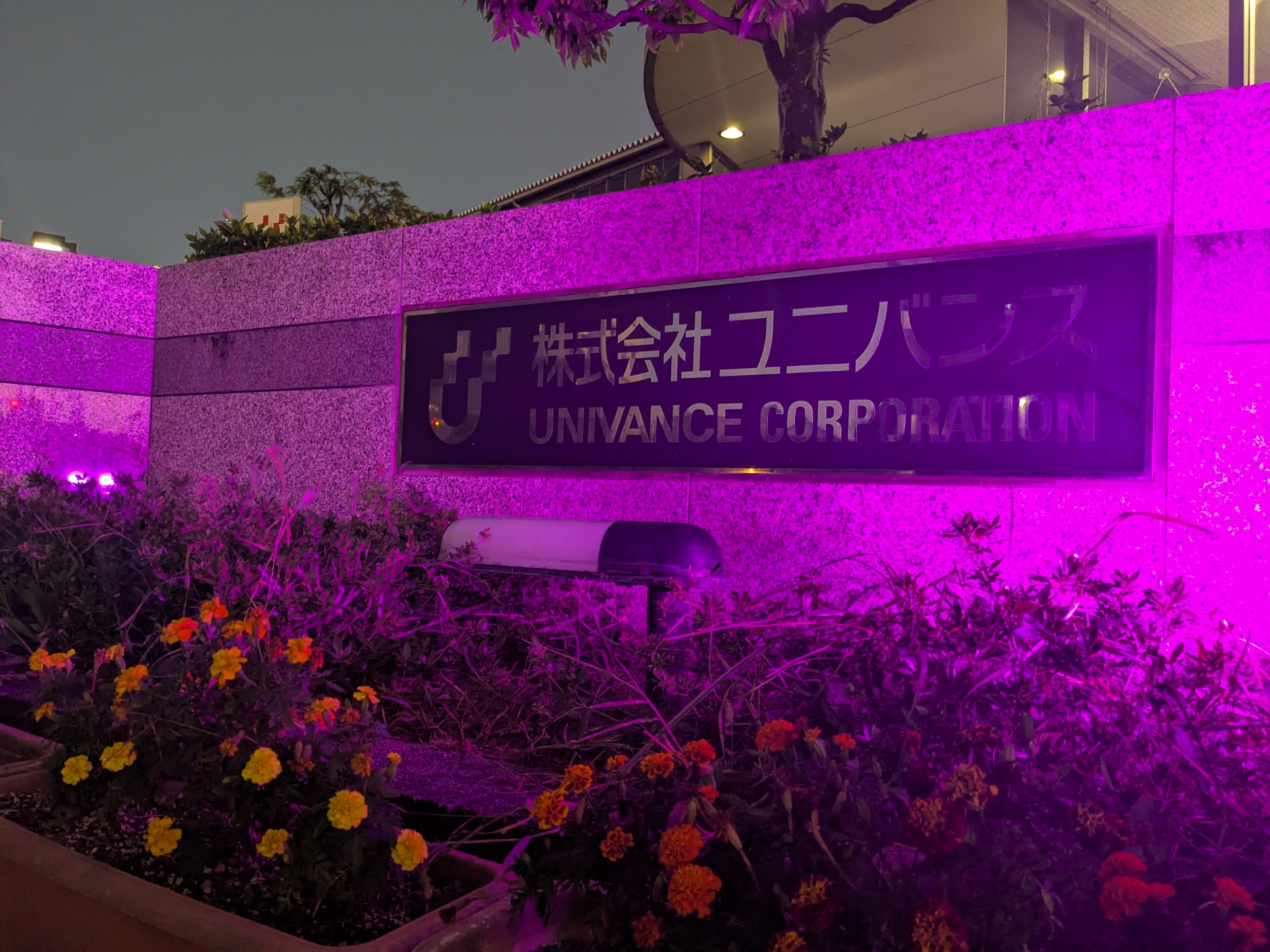 ユニバンス・パープルライトアップ(差し替え)